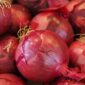 141 Daerah Alami Kenaikan Harga Bawang Merah. (Pixabay.com/Hans)

