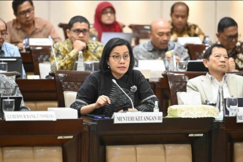 Menteri Keuangan RI Sri Mulyani Indrawati. (Instagram.com/@smindrawati)