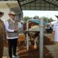 Wakil Menteri Pertanian (Wamentan) Sudaryono Optimistis Indonesia Wujudkan Swasembada Susu dan Daging Sapi. (Dok. Pertanian.go.id)

