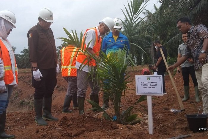 Acara Tasyakuran Tanam Perdana Serentak Program PSR dan Padi Gogo di Kecamatan Laut Tador Kabupaten Batubara, Sumatera Utara (Sumut). (Dok. Paya Pinang Group)