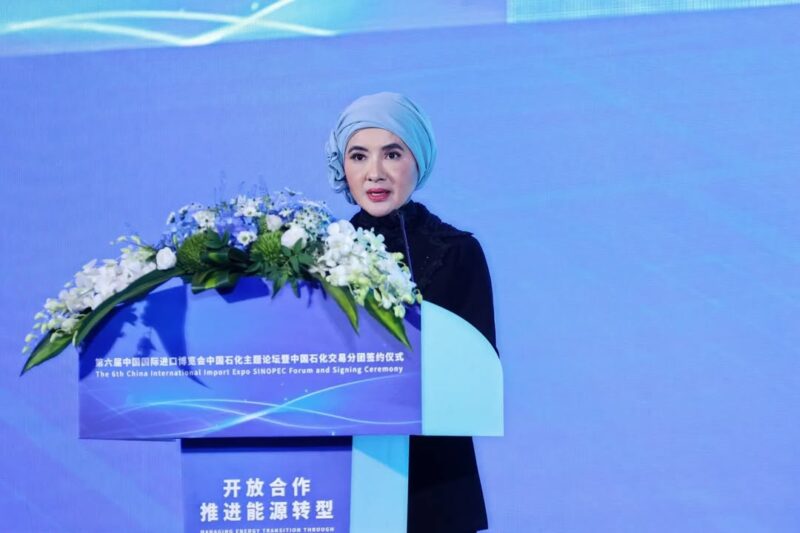 Direktur Sumber Daya Manusia (SDM) PT Pertamina Nicke Widyawati. (Instagram.com @nicke_widyawati)