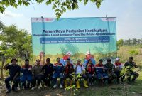 Semangka hasil panen program Biru Langit PEPC mencapai berat 4-5kg per buah berkat irigasi bertenaga surya yang optimal. (Dok. PT Pertamina EP Cepu)

